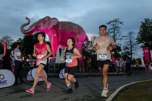 BIB: 
                            <button type="button" onclick="openModal(26529593)" class="btn btn-primary btn-sm float-right btn-popup" data-toggle="modal" data-target=".modal-high-quality">
                        <i class="fas fa-shopping-cart"></i> Add to Cart
                    </button>
                                            <button type="button" onclick="isThisMe(26529593, true)" class="btn btn-success btn-sm float-right btn-popup btn-isme hidden" data-toggle="tooltip" data-placement="bottom" title="นี่คือรูปของคุณใช่ไหม คลิกที่นี่เพื่อเอาเข้าอัลบั้ม">
                        <i class="fas fa-plus"></i> Add to album
                    </button>
                    <button type="button" onclick="isThisMe(26529593, false)" class="btn btn-warning btn-sm float-right btn-popup btn-isnotme hidden">
                        <i class="fas fa-ban"></i> Remove from album
                    </button>